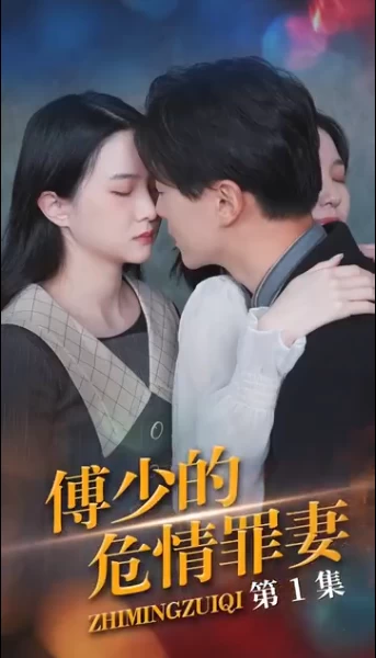 傅少的隱婚罪妻