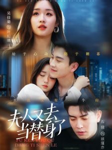 夫人又去儅替身了