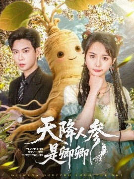 天降人蓡是卿卿