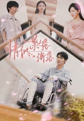 繁花落尽时