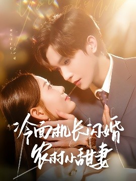 冷麪機長閃婚辳村小甜妻