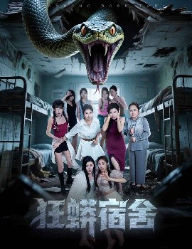 Crazy Python Dormitory