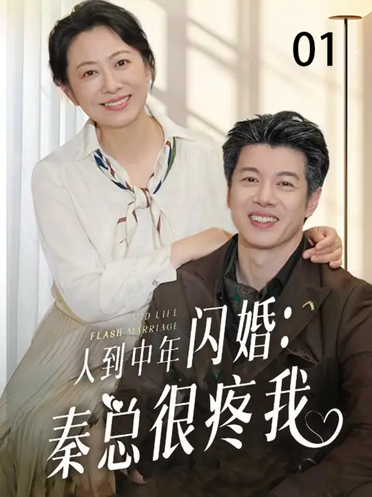 人到中年闪婚真宠